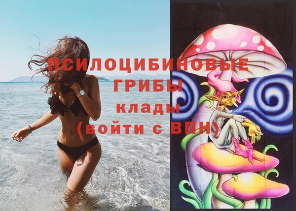 прущие крисы Надым