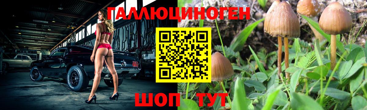 Марихуана  Вход с VPN  Мефедрон кристаллы  Кудрово  ГАШИШ  Кокаин 