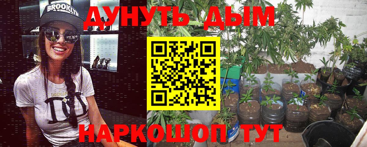 Марихуана VHQ  Бошки Шишки LSD WEED  Конопля VHQ  Кудрово  Шишки марихуана ГИДРОПОН  Вход с VPN 